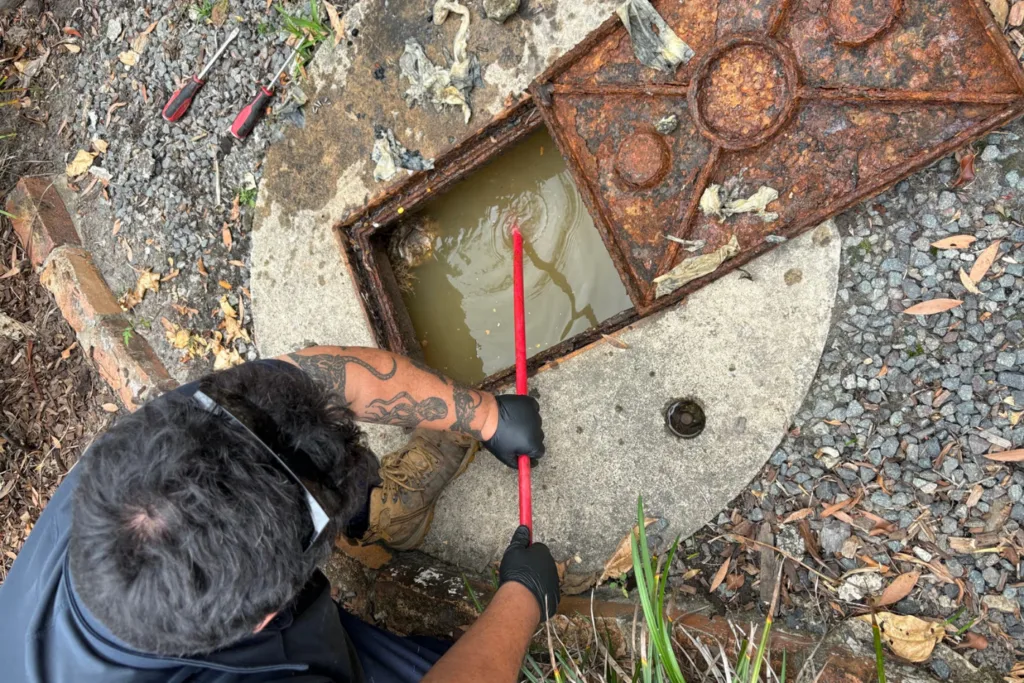 how-to-clear-a-blocked-drain