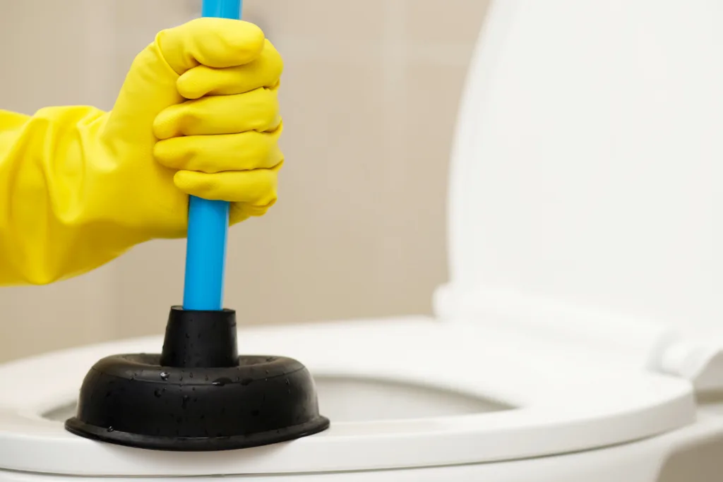 how to unblock a toilet 1